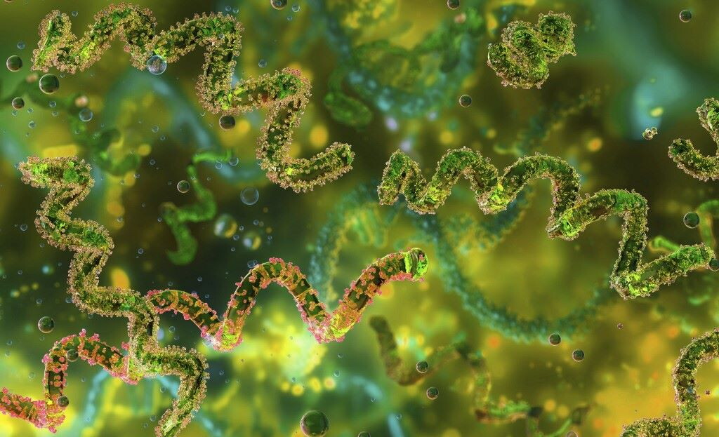 Salute, anche la forma dei dispositivi medici può contrastare i batteri