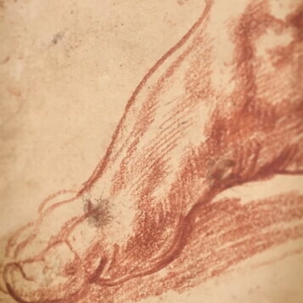 The Vatican studies 20 unpublished works by Michelangelo