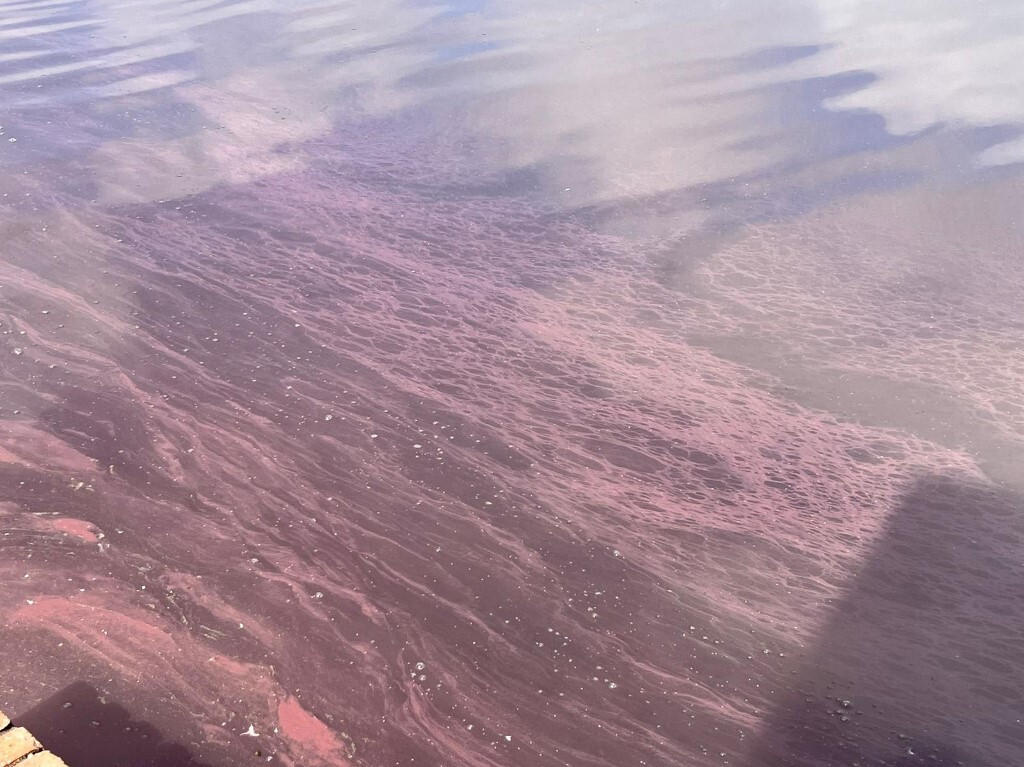 Febbraio 2026 tra i più caldi mai registrati. Lo rivela Copernicus