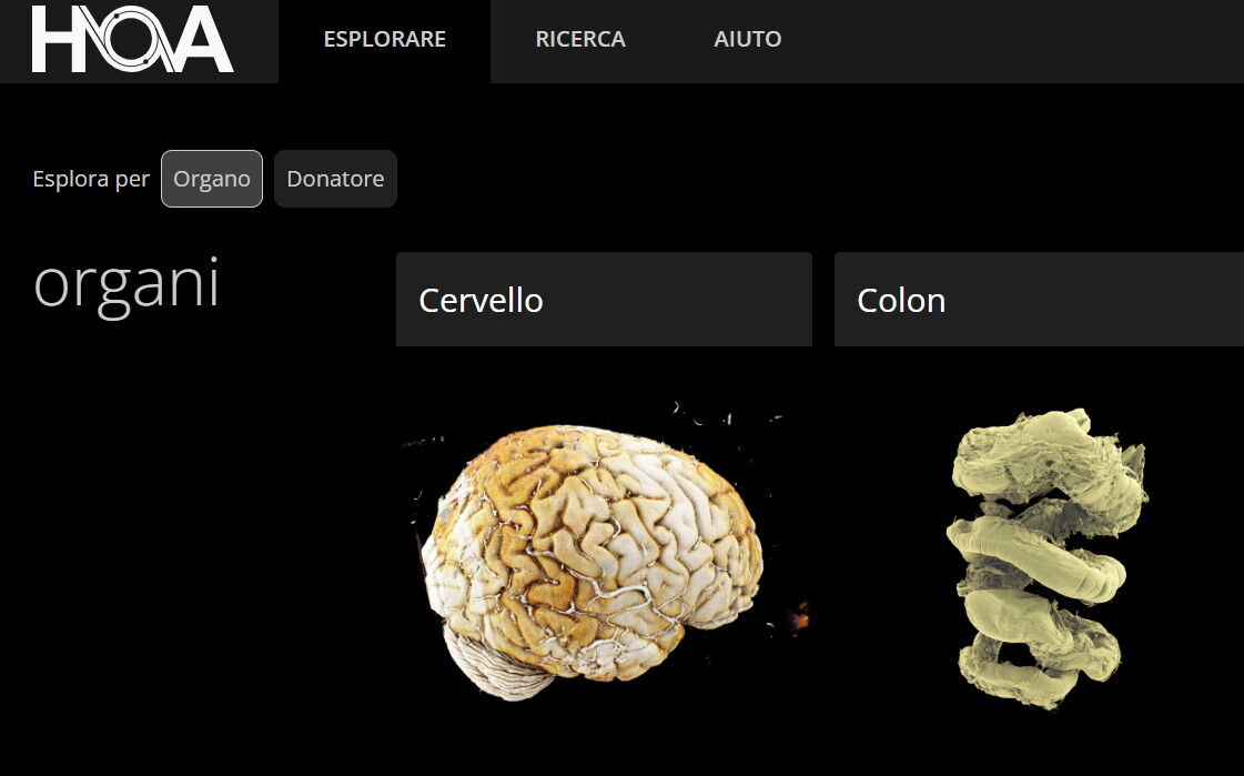 Nasce l’atlante digitale del corpo umano, organi esplorabili in 3D come Google Earth