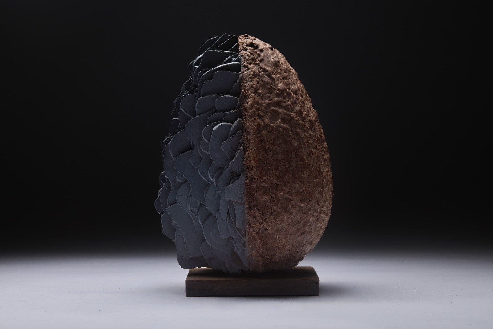 Walter Musco presenta “Ovo Sapiens”: uova tra arte e gusto