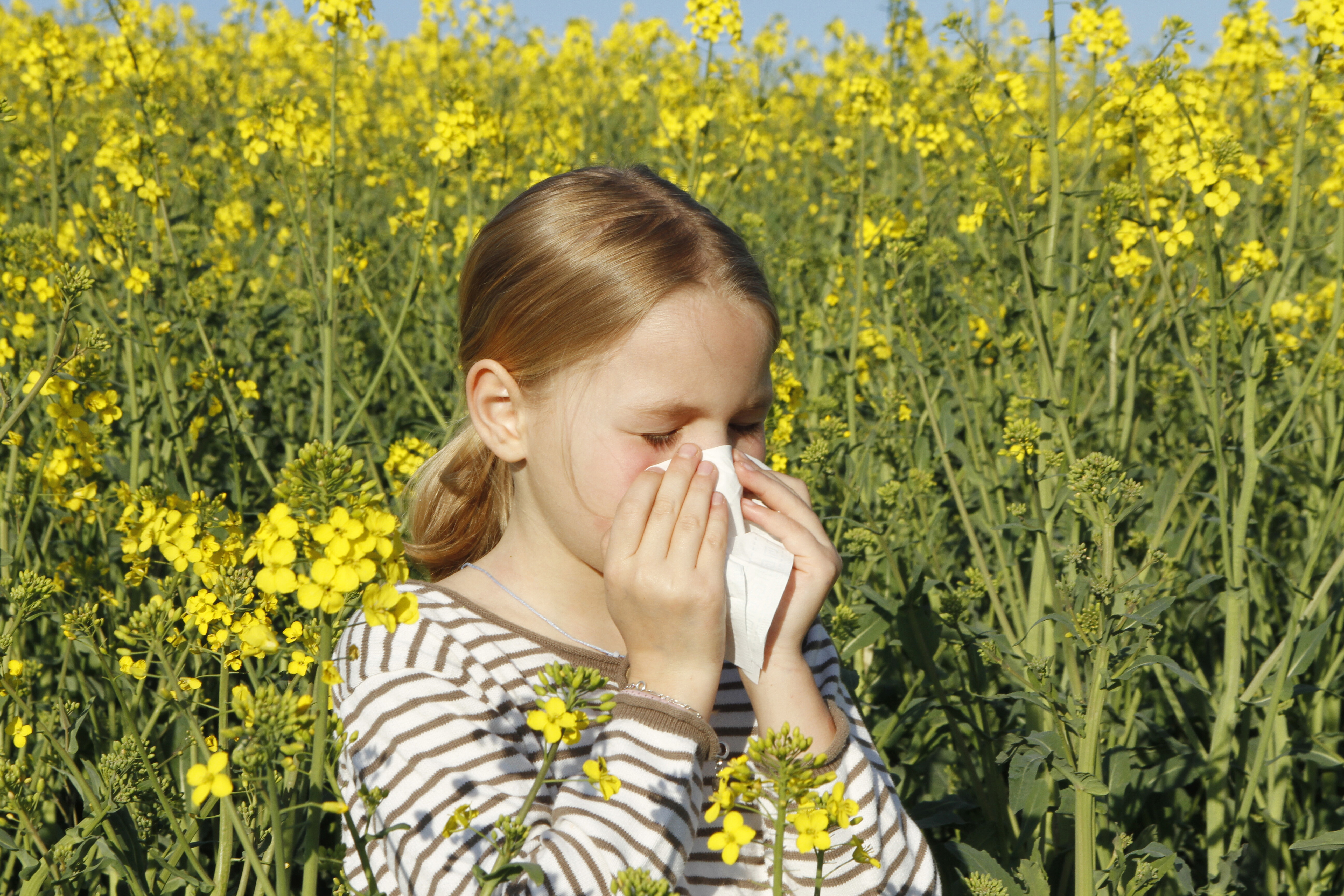 Le allergie iniziano prima e durano di più, i consigli per i bambini