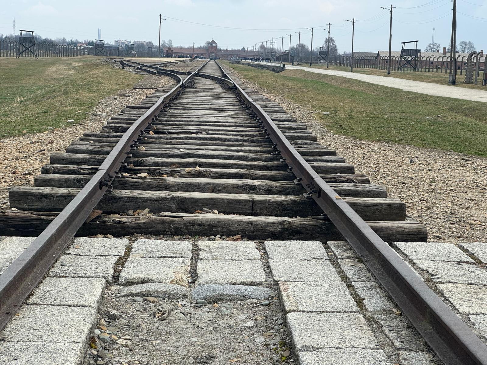 Camminare nella storia, gli studenti di Roma nei campi di Birkenau e Auschwitz