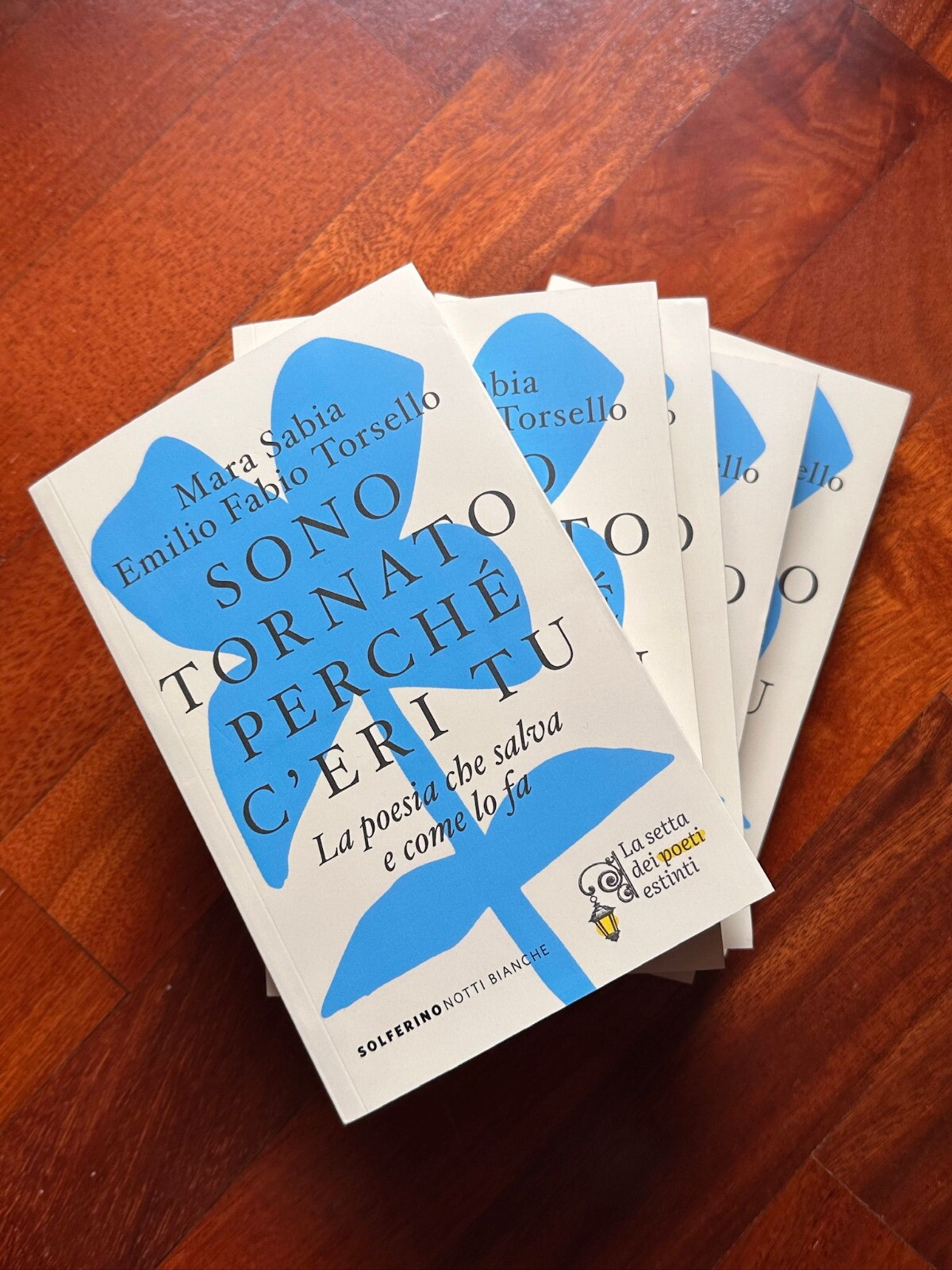 In libreria “Sono tornato perché c’eri tu”. Come la poesia può salvare ciascuno di noi