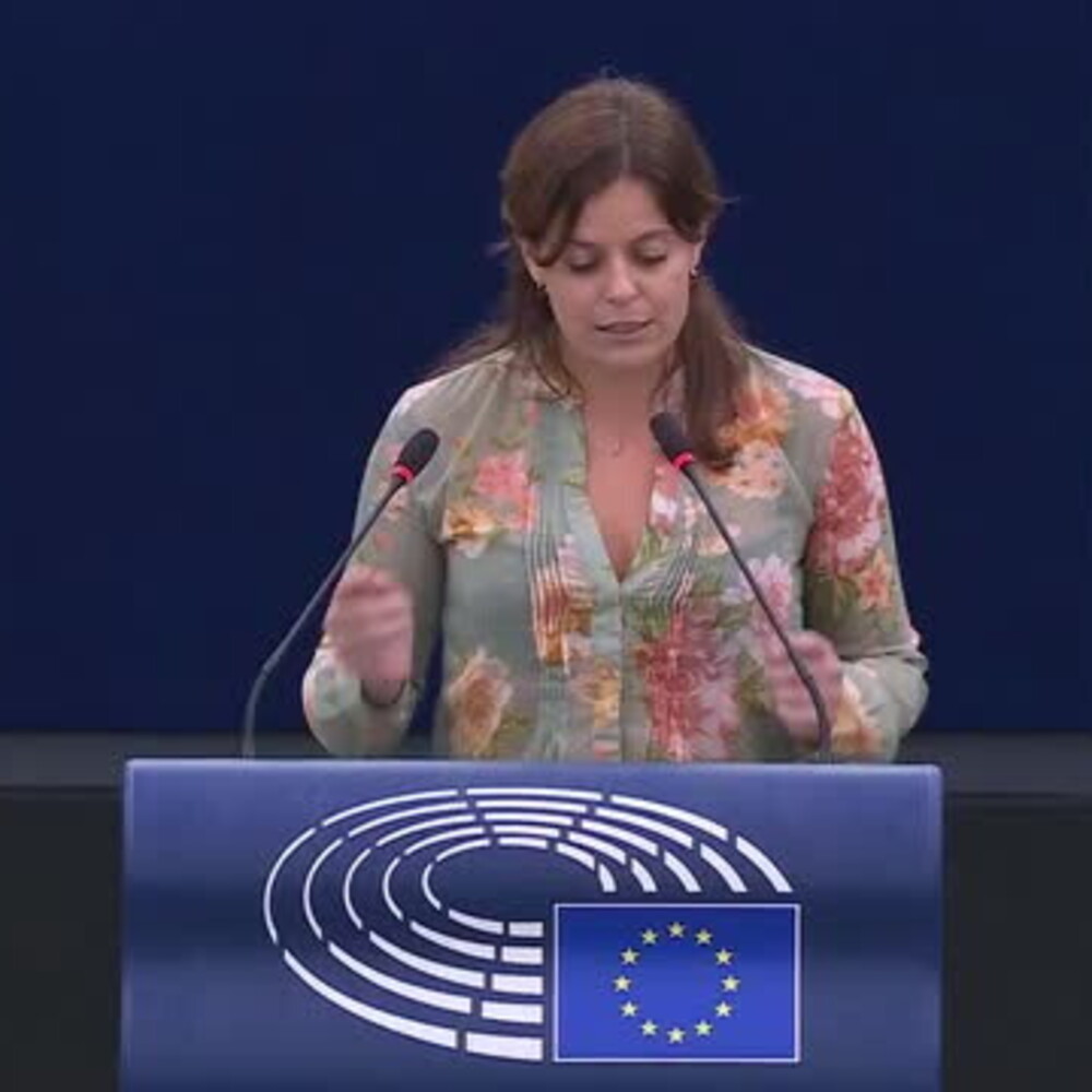 Ilaria Salis underwent a ‘preventive check’ at the hotel. Landini: "Unsettling"