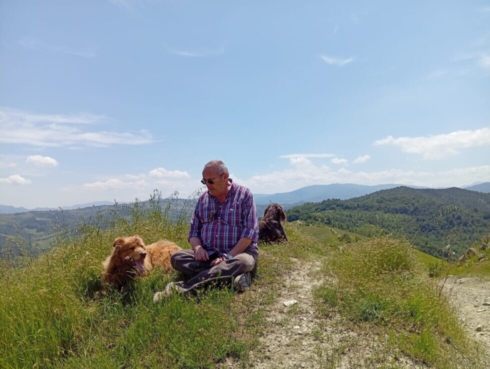 "Il lupo torna e poi sparisce". L'esperto spiega che cosa sta succedendo