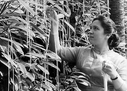 Pesce d’aprile e fake news: guida per non cadere nel tranello