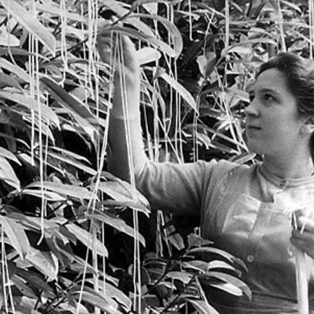 Pesce d’aprile e fake news: guida per non cadere nel tranello