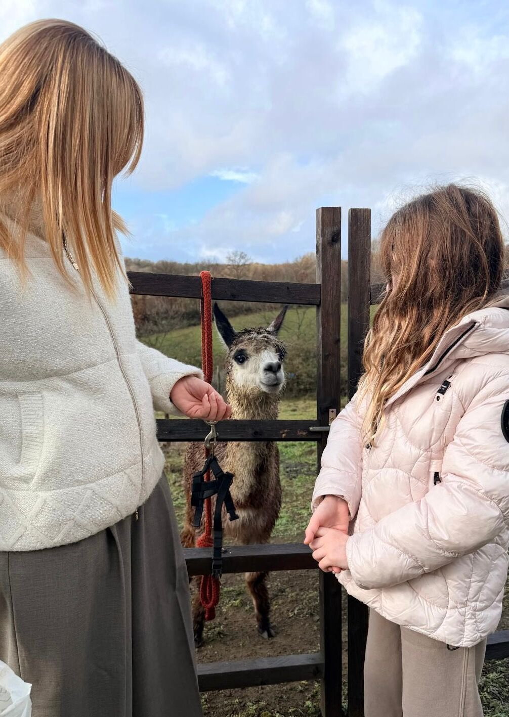 Pasqua: auguri di speranza e pace dalle istituzioni