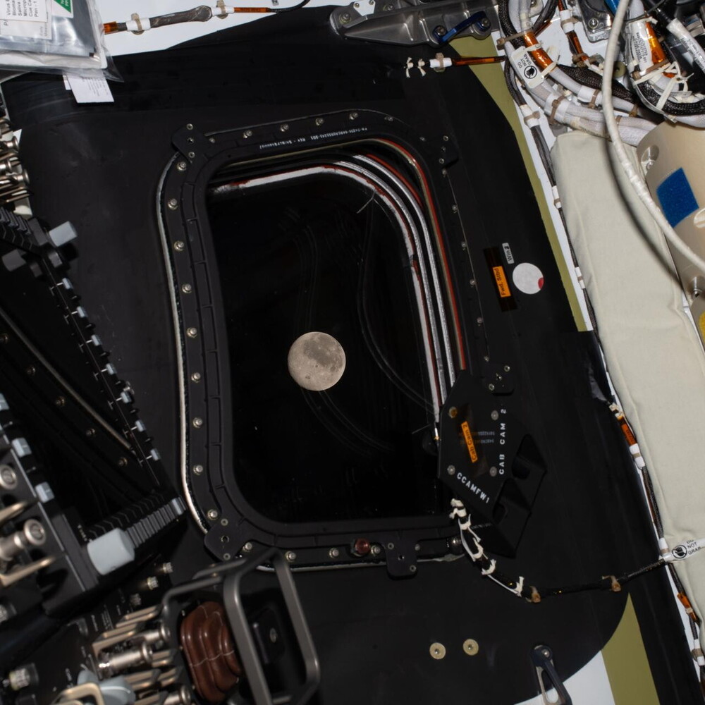 Anteprima: Artemis II dietro la Luna. Mai gli umani così lontani dalla Terra. Trump agli astronauti:…