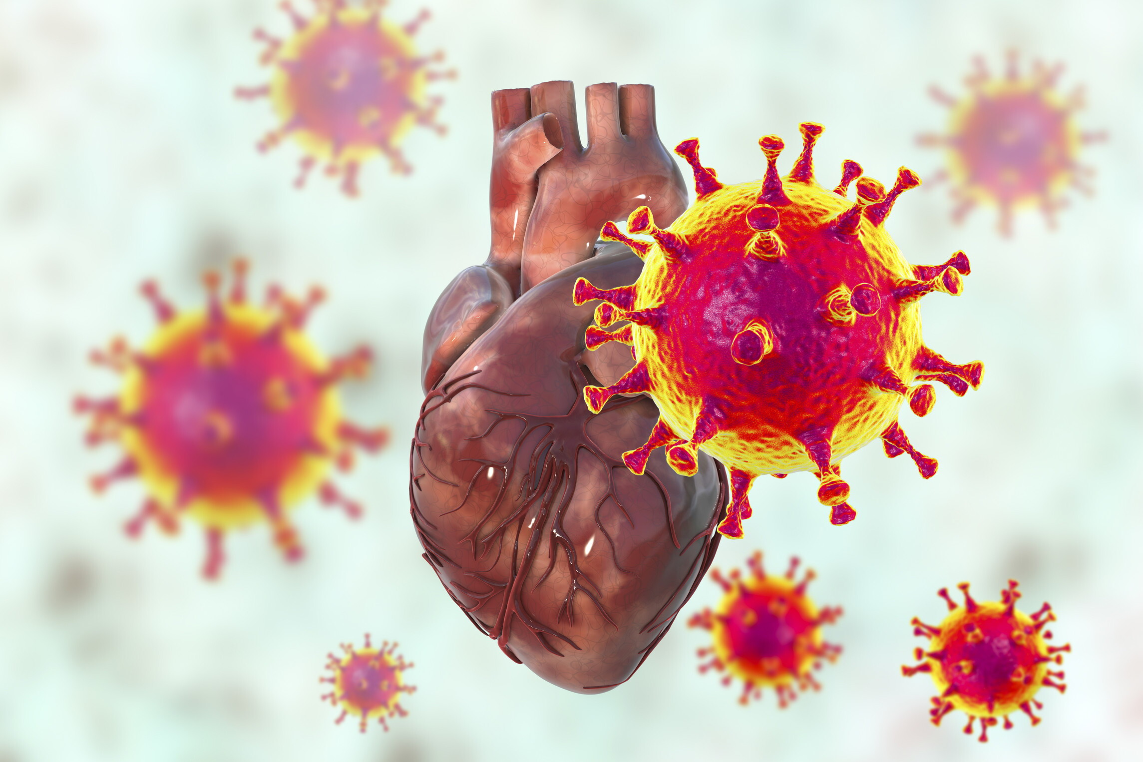 Il long Covid aumenta rischio di malattie cardiovascolari