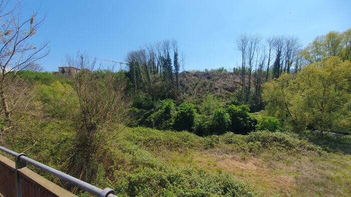 Disboscamento sulla riva di un fiume, sparisce il parco verde