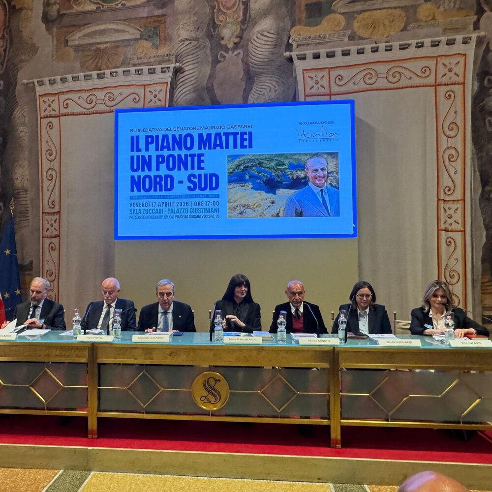 Italy as a bridge between the North and South of the world, round table in the Senate on the Mattei Plan