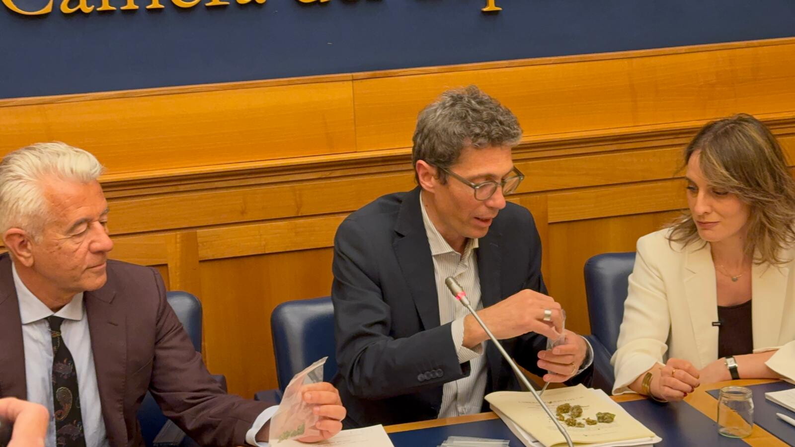 La cannabis entra alla Camera dei Deputati (VIDEO)
