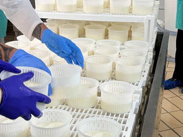 Nel carcere di Bologna un caseificio offre lavoro e formazione ai detenuti