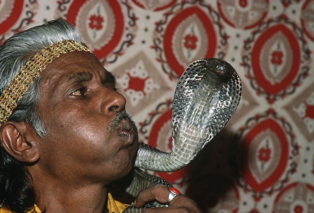 Morso da un cobra durante uno spettacolo, muore un turista tedesco in Egitto