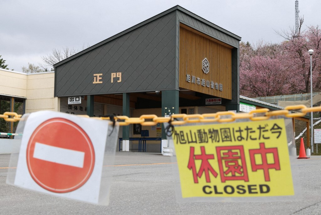 Orrore in Giappone: incenerisce la moglie nello zoo di Hokkaido. arrestato