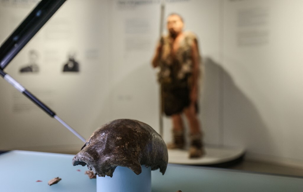 I Neanderthal curavano le carie con trapani in pietra