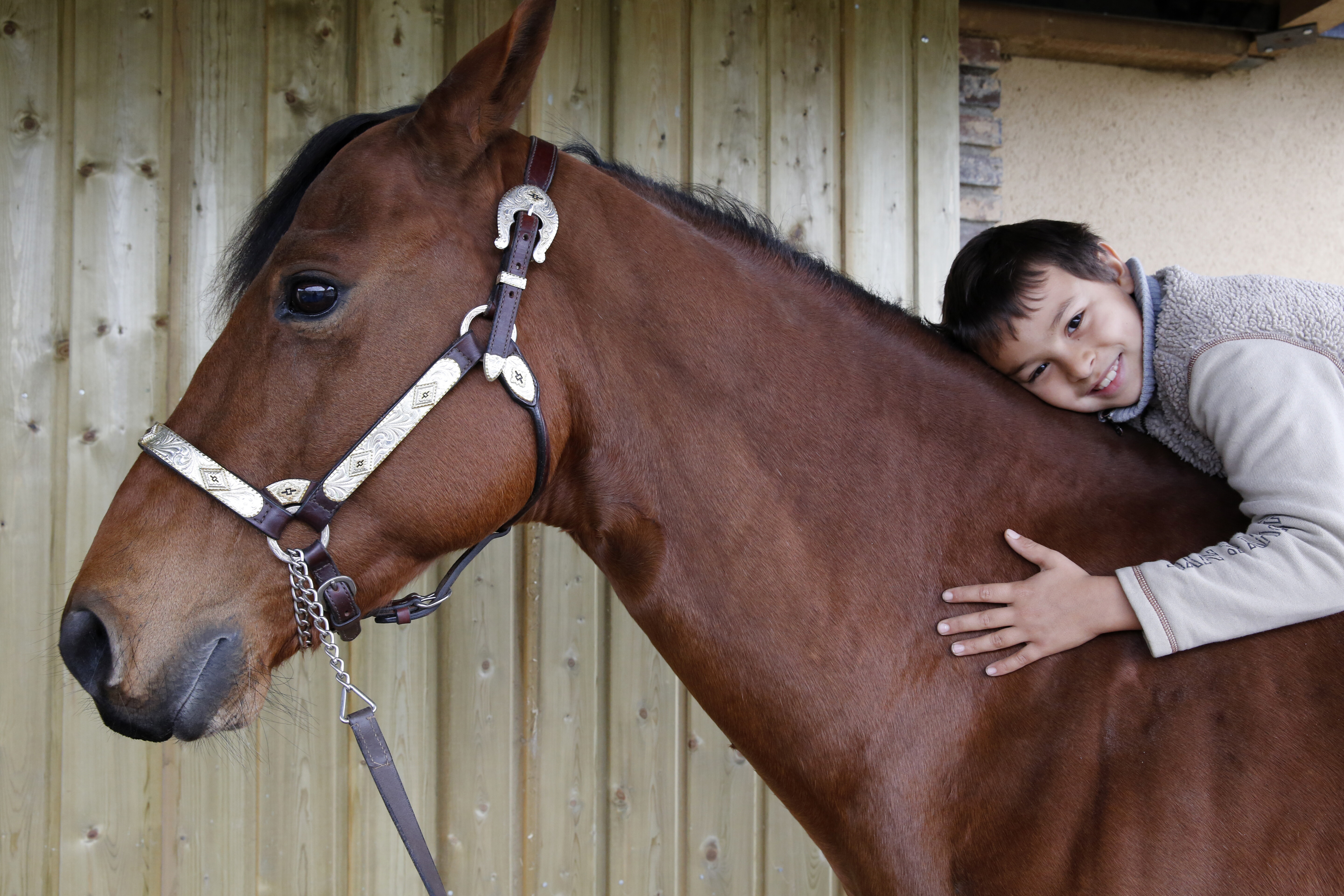 Il maneggio di San Raffaele Viterbo celebra 40 anni di riabilitazione equestre