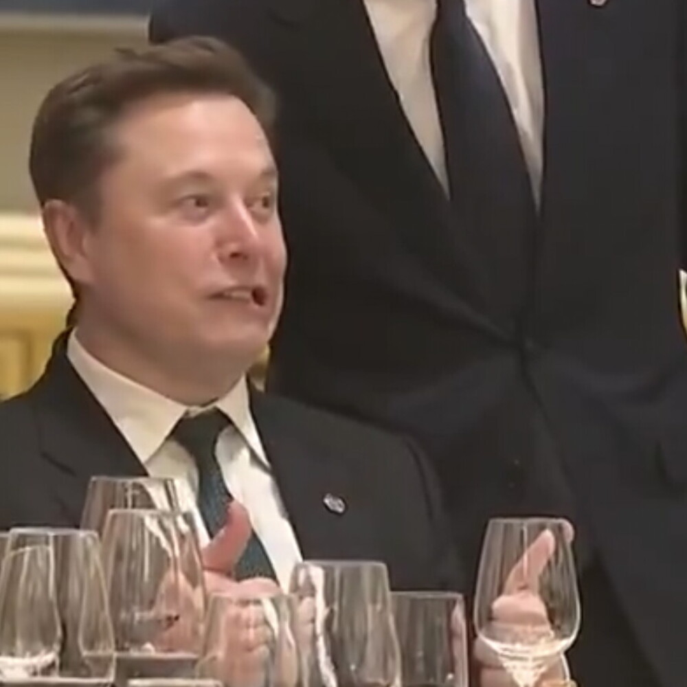 Anteprima: Musk posa con Cook per i fotografi e fa le smorfie