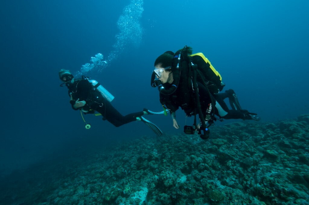 L'apneista Pelizzari: "Annichilito" dalla tragedia delle Maldive. "Così panico e fango ren...