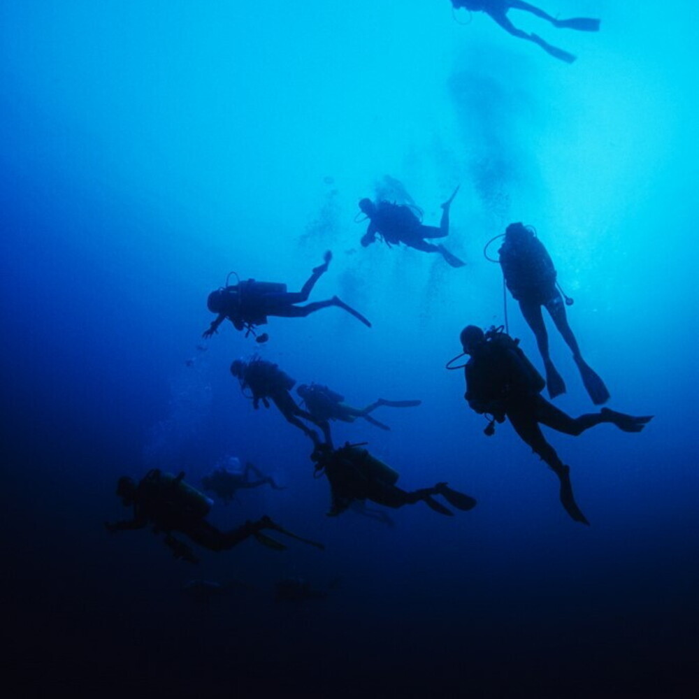 Maldives: bodies of four missing Italian divers identified. Recovery tomorrow and Wednesday