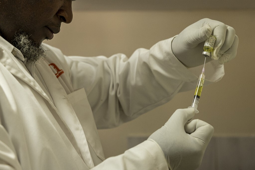 La lotta all'HIV e al Covid con l'olio di lino