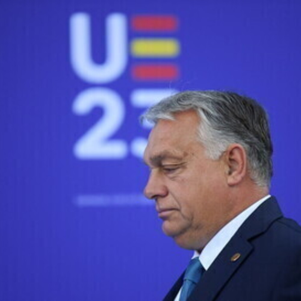 https://images.agi.it/pictures/agi/agi/2026/05/30/093642599-af478644-f225-4869-b64d-8be94be4bc72.jpg