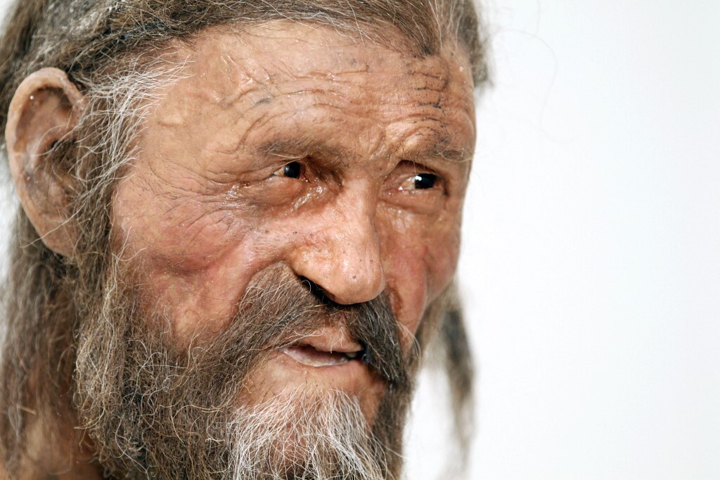 Scoperti lieviti “amanti del freddo” nel corpo della mummia Ötzi