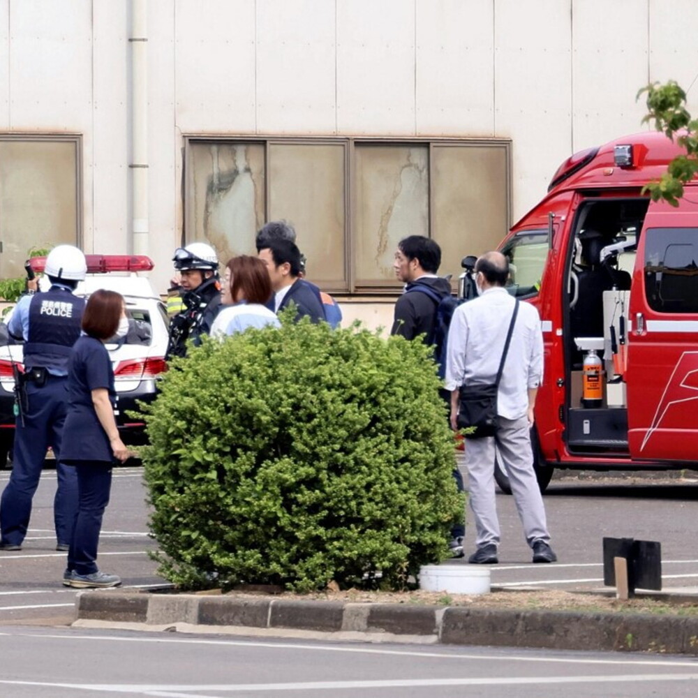 Anteprima: Un orso ha fatto chiudere 100 scuole a Utsunomiya
