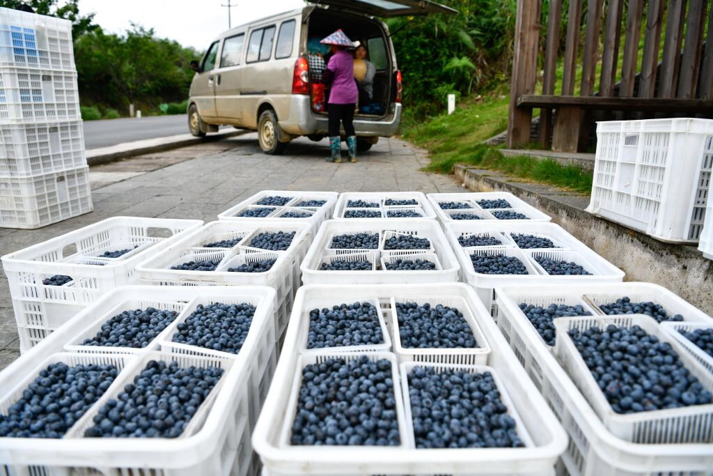 Non tutta la frutta protegge il cuore allo stesso modo