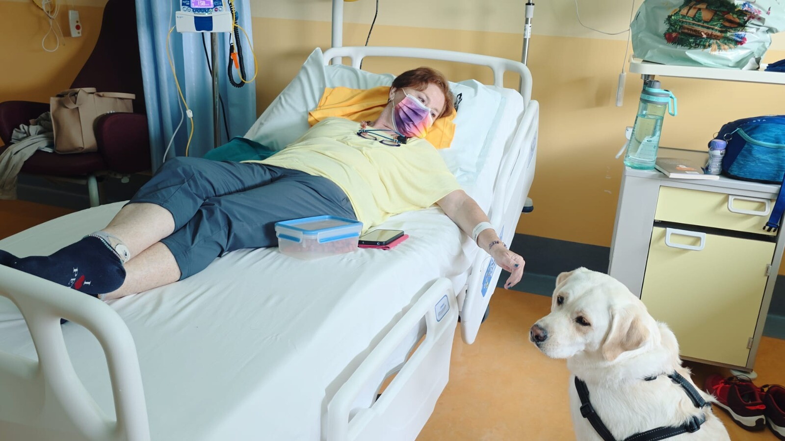 Joy entra in Day Hospital: paziente oncologica fa la terapia con la sua labrador