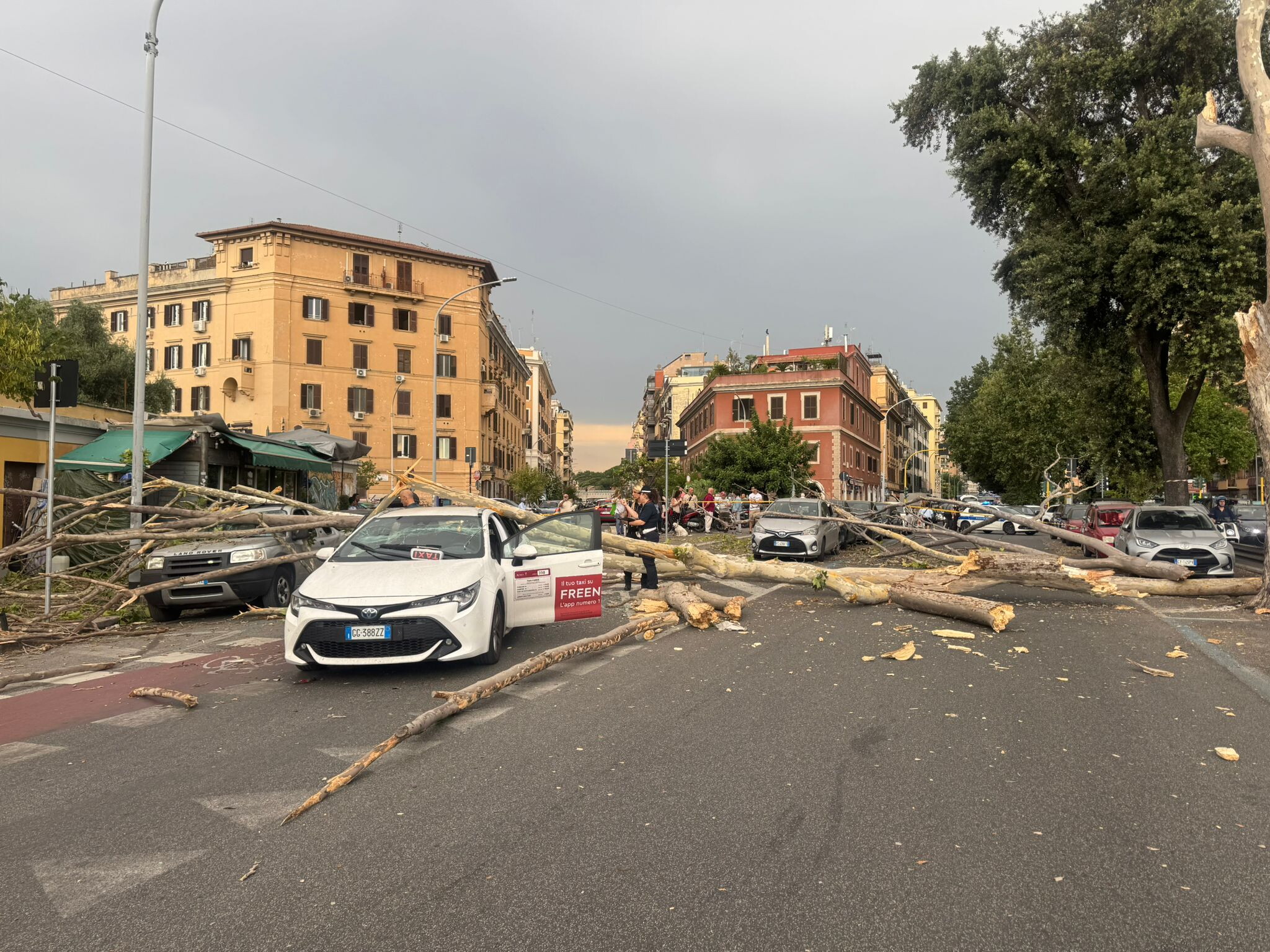 Albero cade a Roma e colpisce taxi in corsa, nessun ferito (FOTO)
