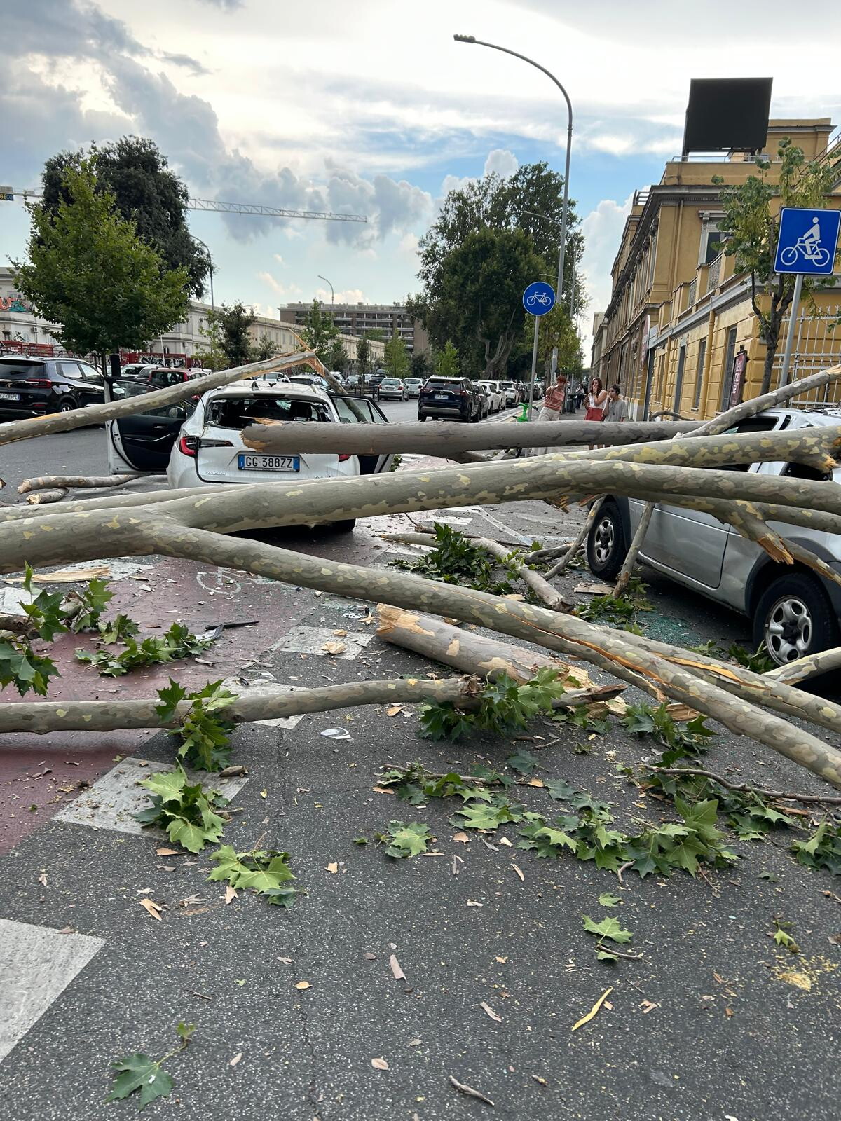 Roma: tragedia sfiorata in via Ostiense, albero cade su taxi in transito