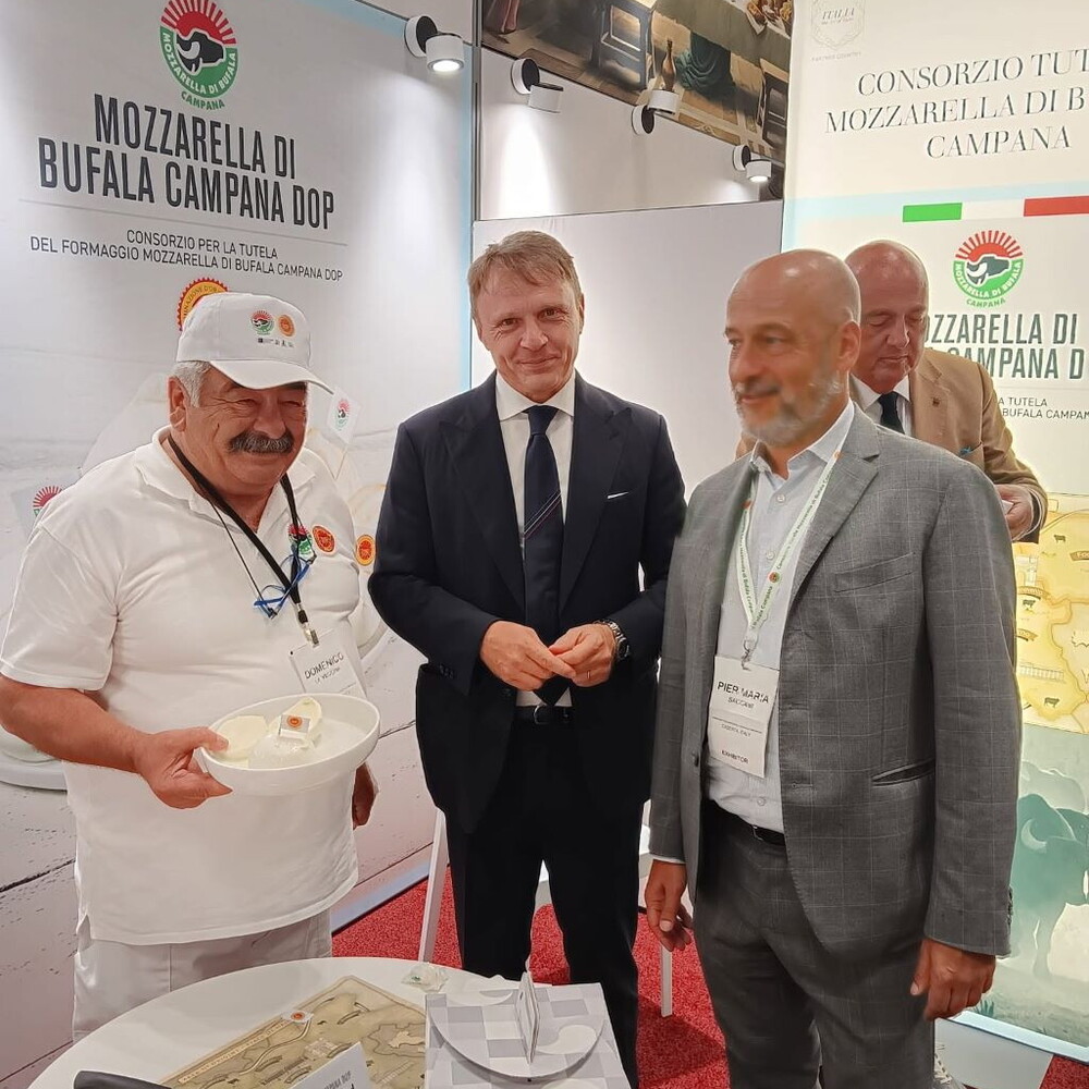 DOP Campania buffalo mozzarella, at Summer Fancy Food in New York