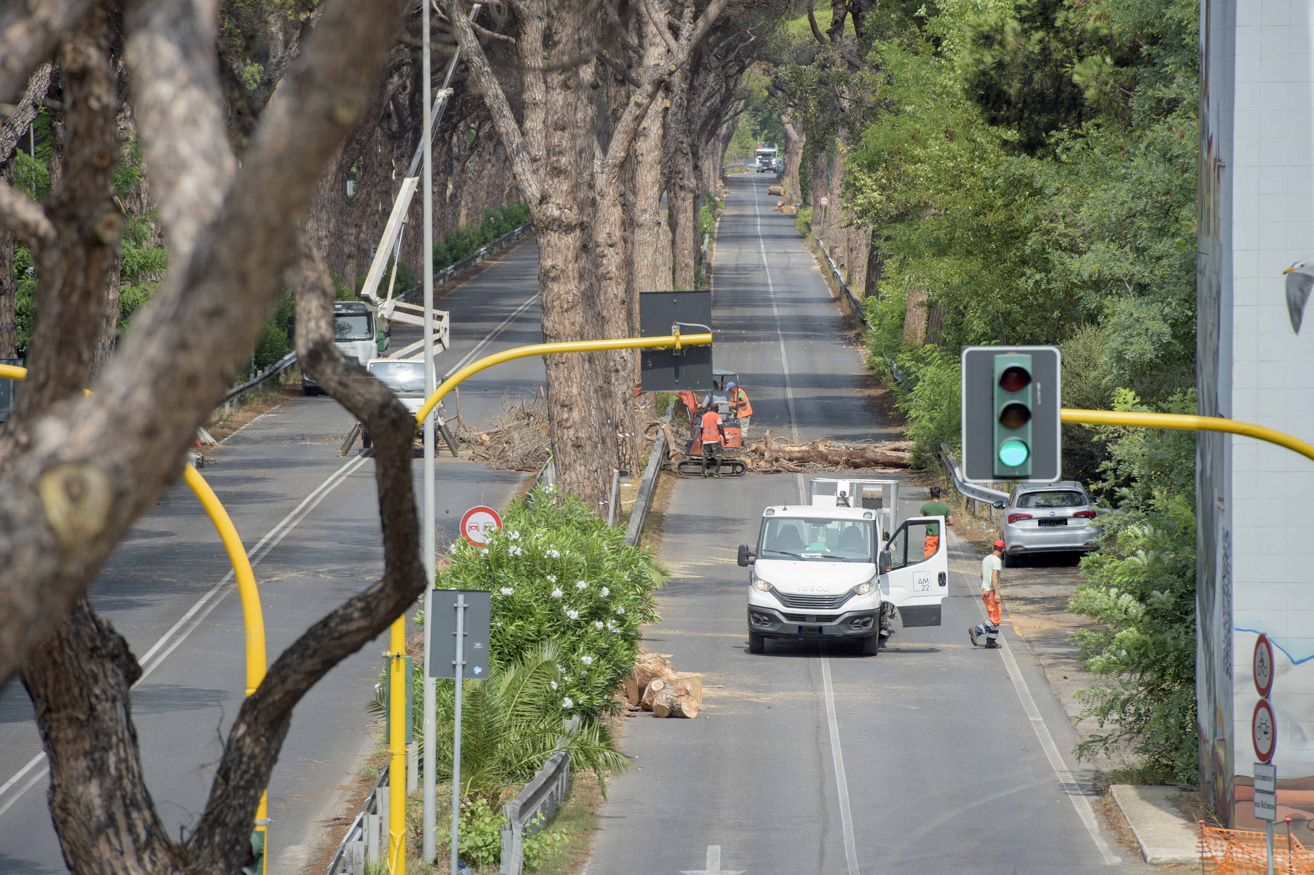 Caldo, con più foreste urbane si possono ridurre del 36% le morti