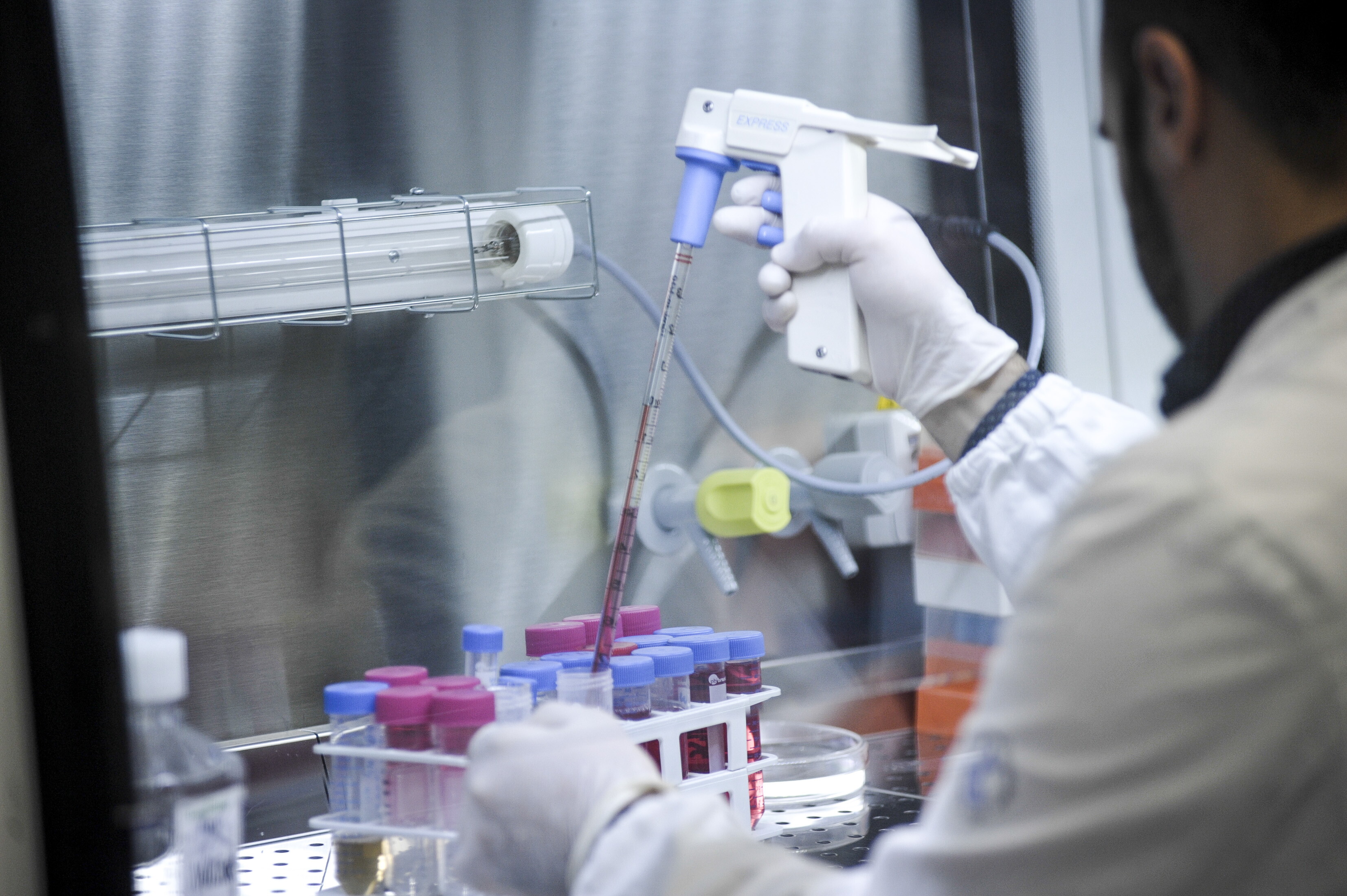 Immunoterapia, stimola la fertilità nella menopausa precoce
