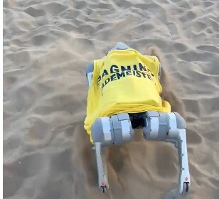 Nel Veneziano arriva Flipper, il cane-robot che fa il bagnino [VIDEO]