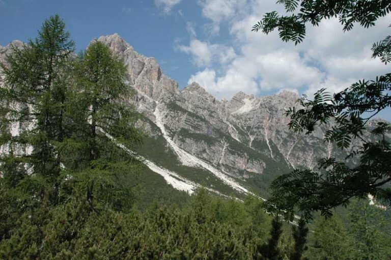 Il futuro dell'ambiente è dei giovani: ecco i vincitori del Dolomia Biodiversity Award