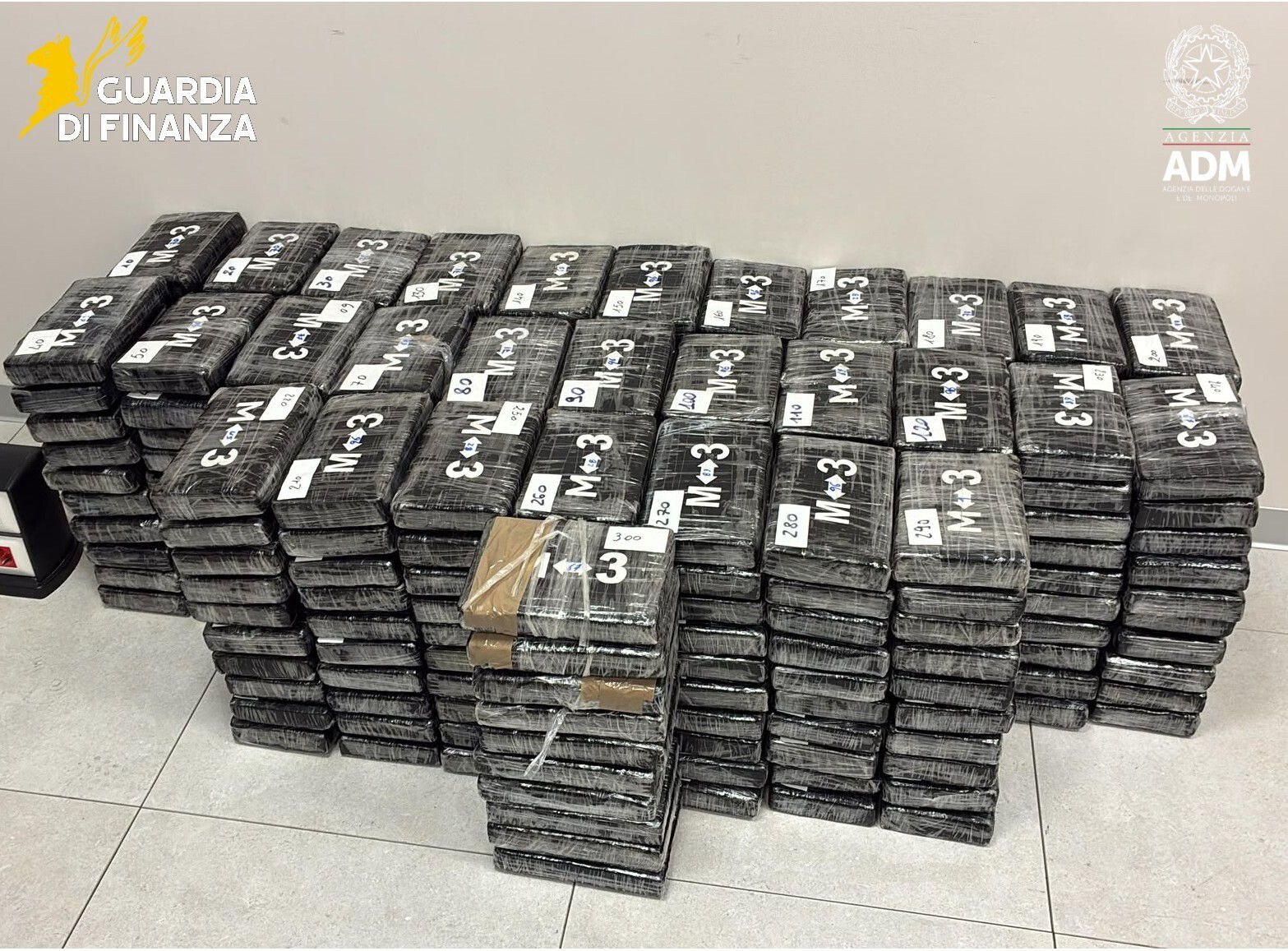 Cocaina nel carico di platani: 340 chili intercettati al porto di Vado Ligure