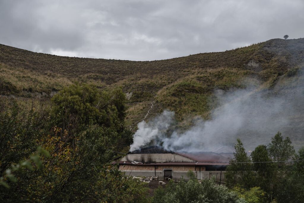 Raffica di incendi in Calabria, “per gli inneschi utilizzati anche i gatti"