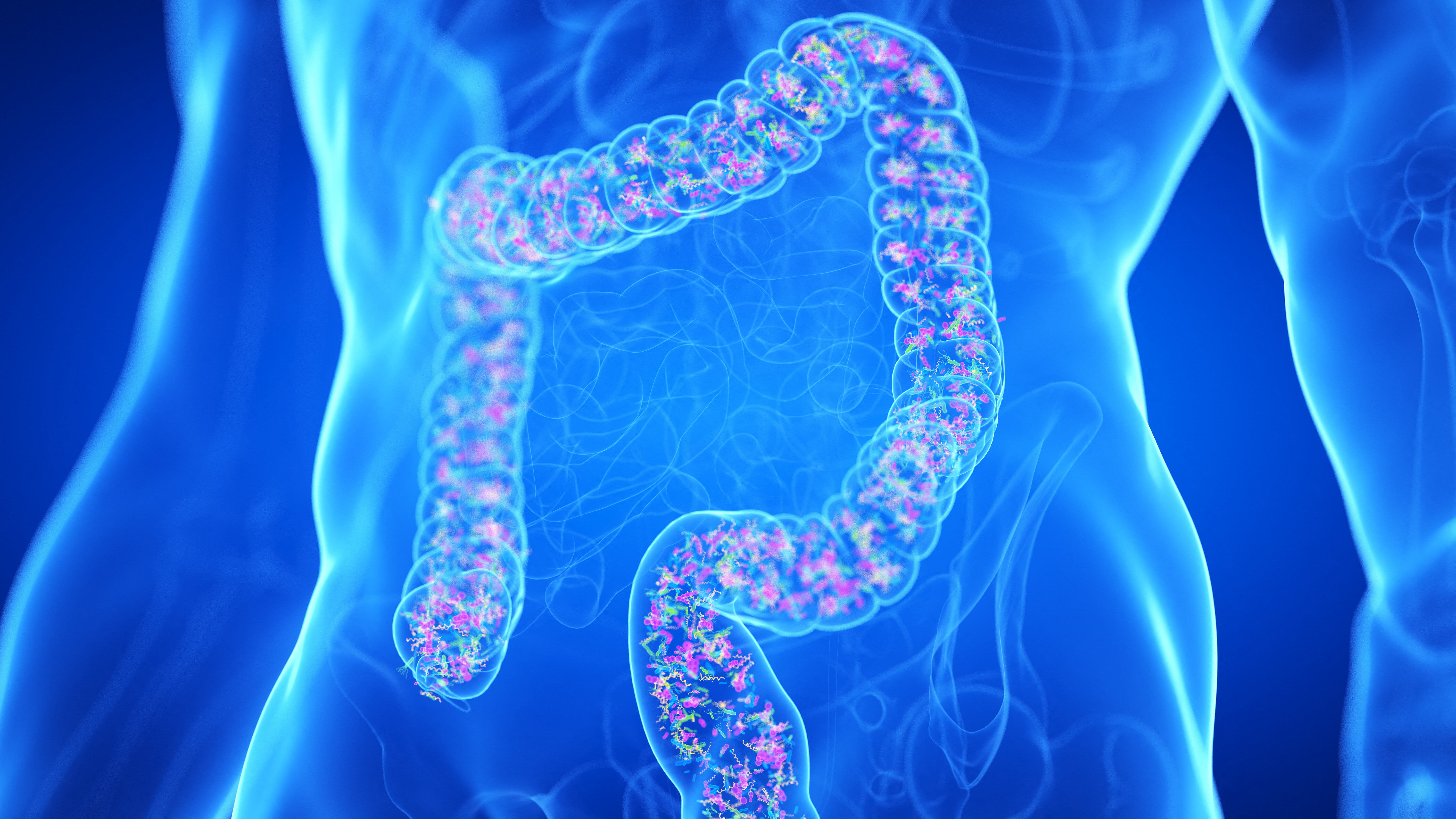 Anche l'intestino soffre il jet lag. Come ridurne gli effetti?