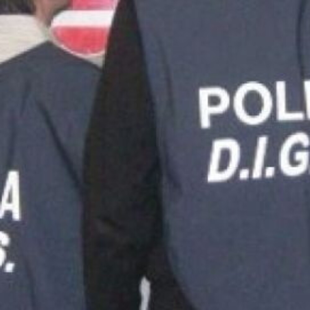 https://images.agi.it/pictures/agi/agi/2026/07/31/122600030-27e8e5a5-bba3-43be-8d4b-fc657c42a91b.jpg