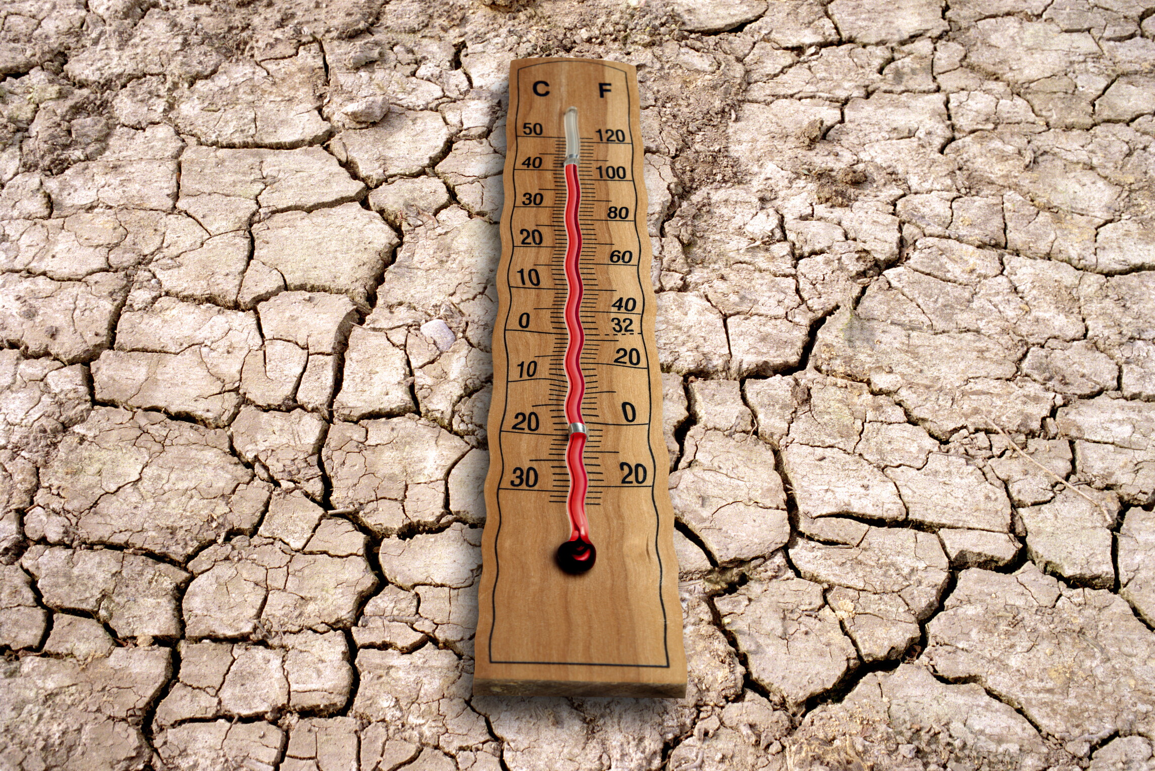 Temperature record, l'Italia soffoca: domani bollino rosso in 27 città