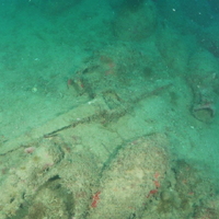 A Mazara del Vallo riemerge il relitto di una nave romana [VIDEO]