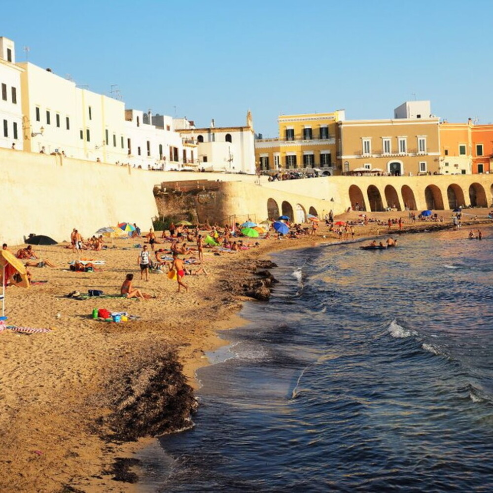 https://images.agi.it/pictures/agi/agi/2026/08/15/145640843-7c3e5af7-2523-4614-9463-d6972efcd38e.jpg