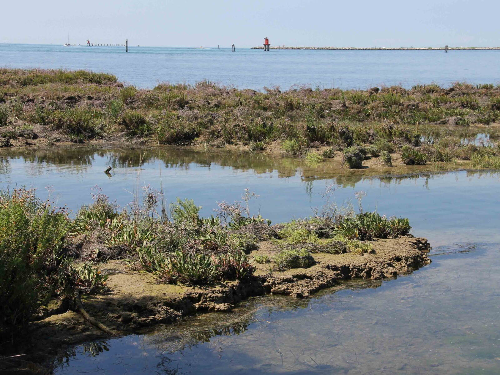 Nell'Alto Adriatico è stato ricostruito un paesaggio preistorico sommerso