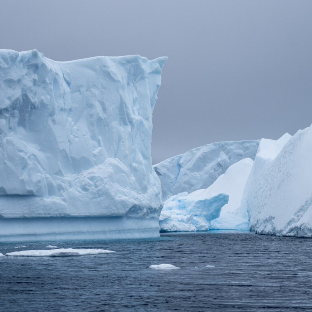 Copertina: Dalla Groenlandia si è staccata un'isola di ghiaccio grande quanto Manhattan