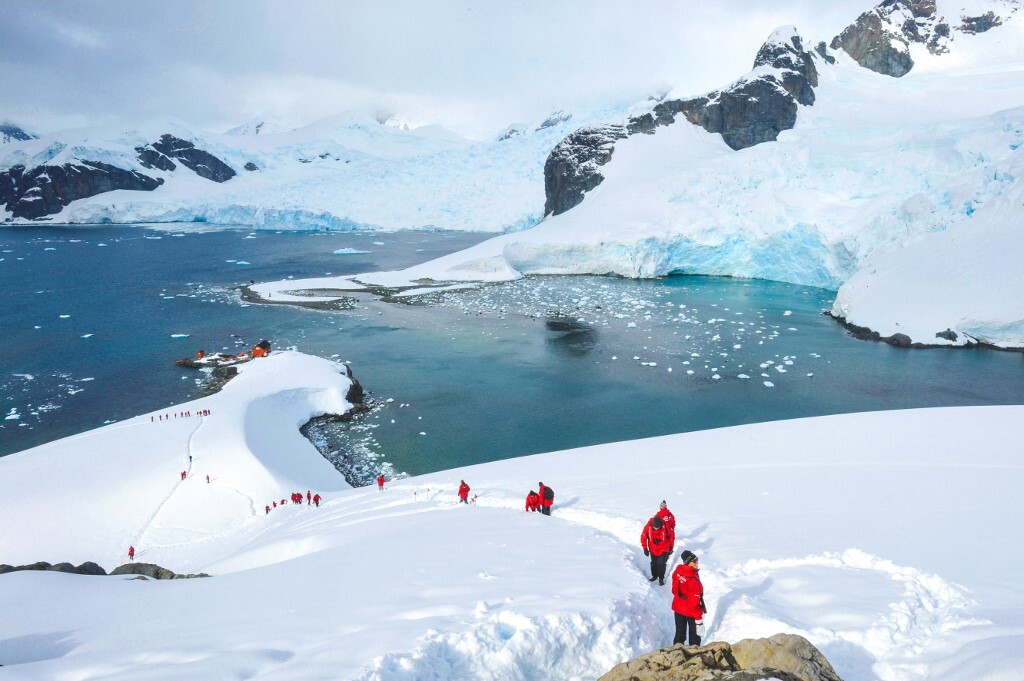 Scienziati analizzano campioni di suolo antartico e scoprono una biodiversità microbica unica