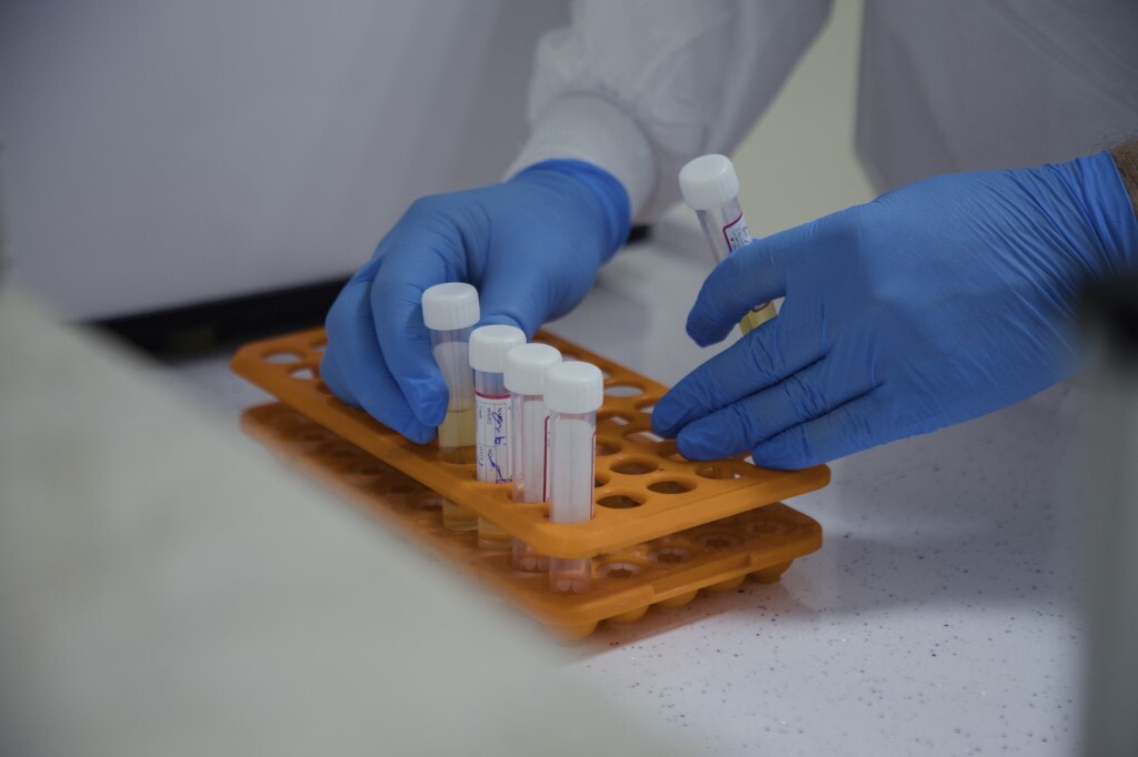 Negli Usa approvati 11 nuovi farmaci contro il cancro in un anno